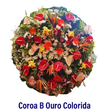 Coroa B Ouro Colorida