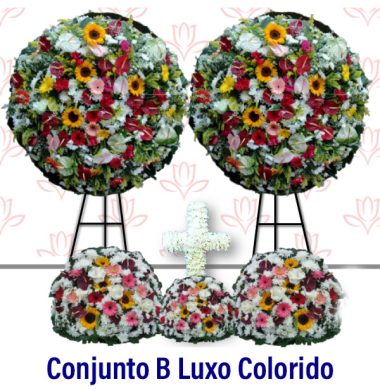 Conjunto B Luxo Colorido